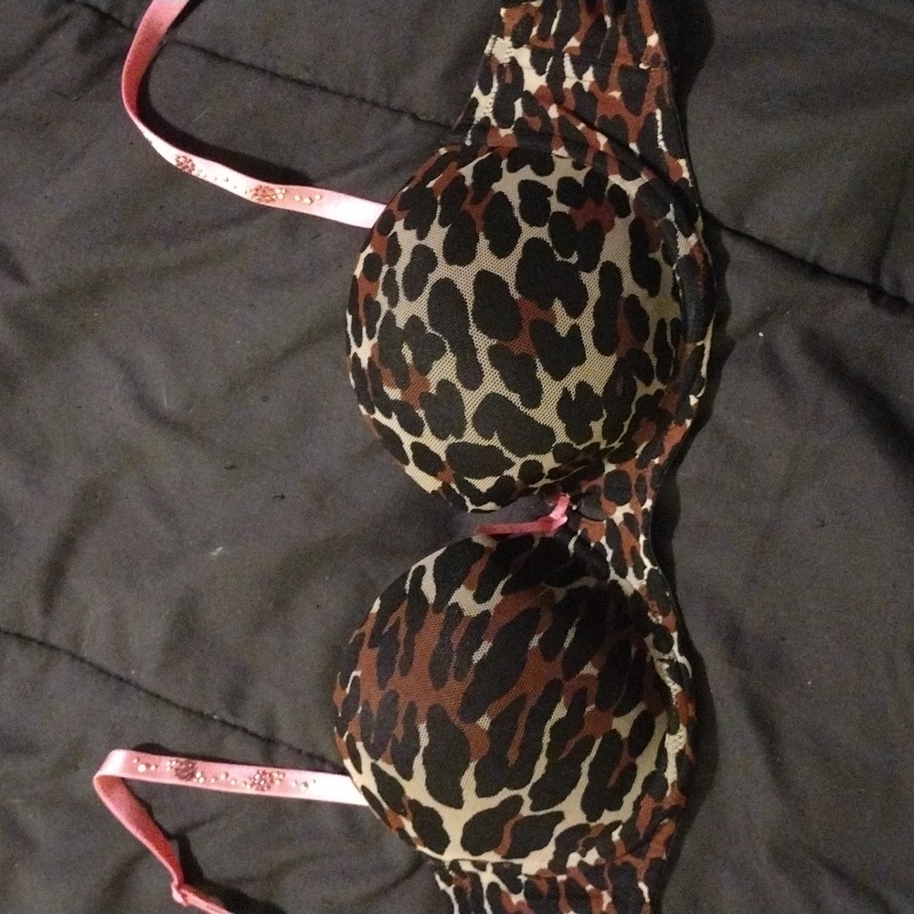 Betsey Johnson leopard and pink bra 34B